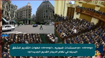 <p>✳️ <strong>مستندات ضرورية..</strong> خطوات التقديم للشقق البديلة في نظام الإيجار القديم الجديد</p>